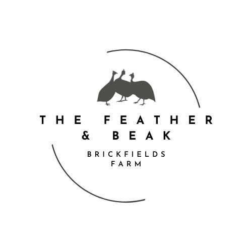 The Feather and Beak Logo
